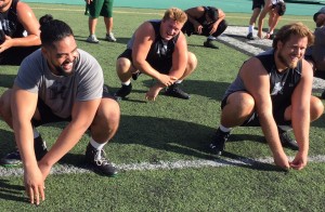 Left guard Leo Koloamatangi, center Brenden Urban and left tackle Ben Clarke