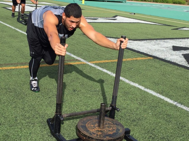 Defensive end David Manoa 