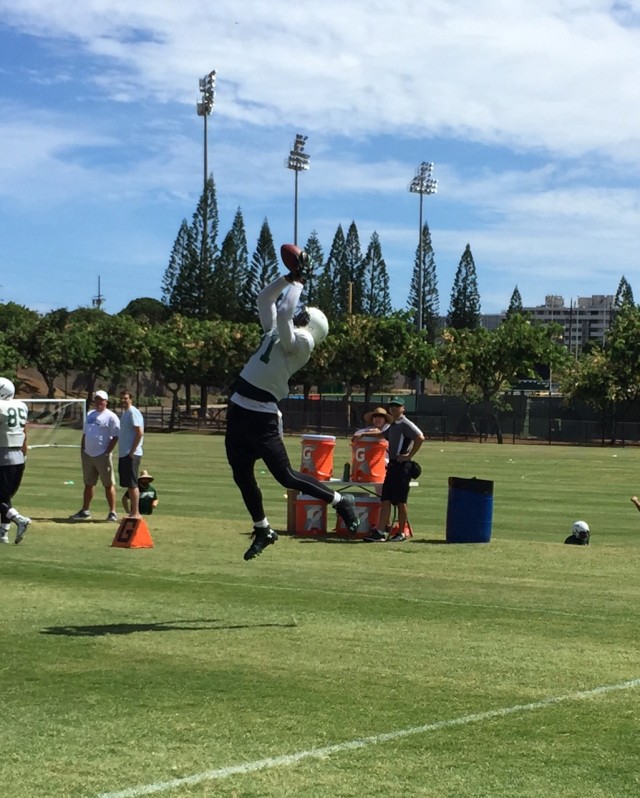 Wideout Vasquez Haynes