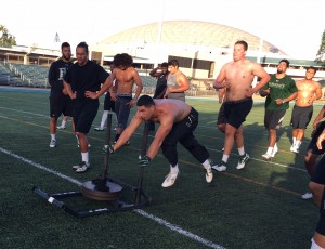 Defensive end David Manoa