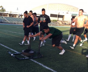 Defensive end Meffy Koloamatangi