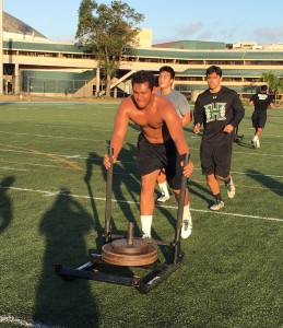 Tight end Dakota Torres