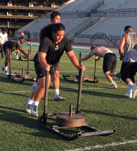 Defensive tackle Kalepo Naotala