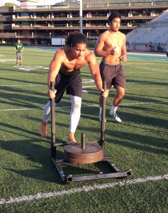 Middle linebacker Jahlani Tavai