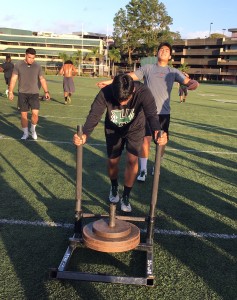 Safety Austin Borengasser