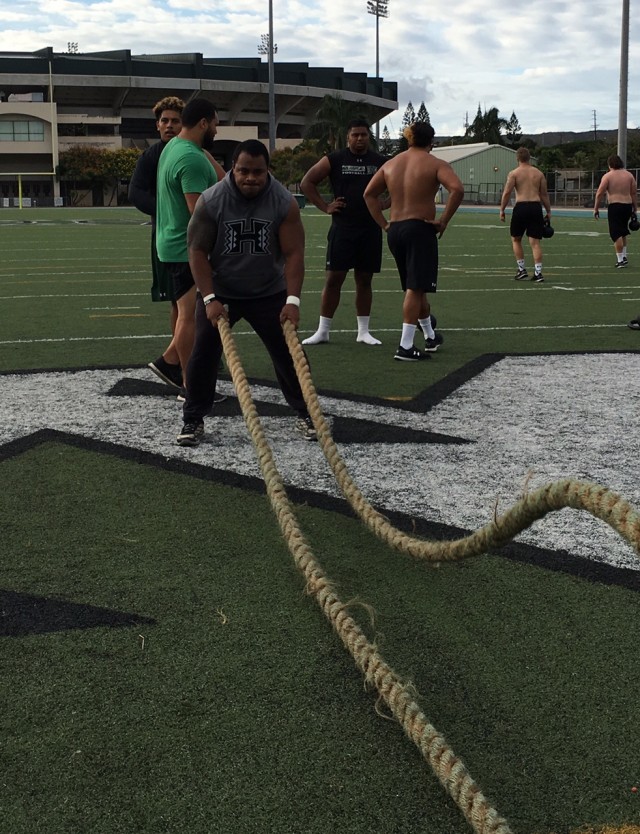 Nose tackle Kiko Faalologo