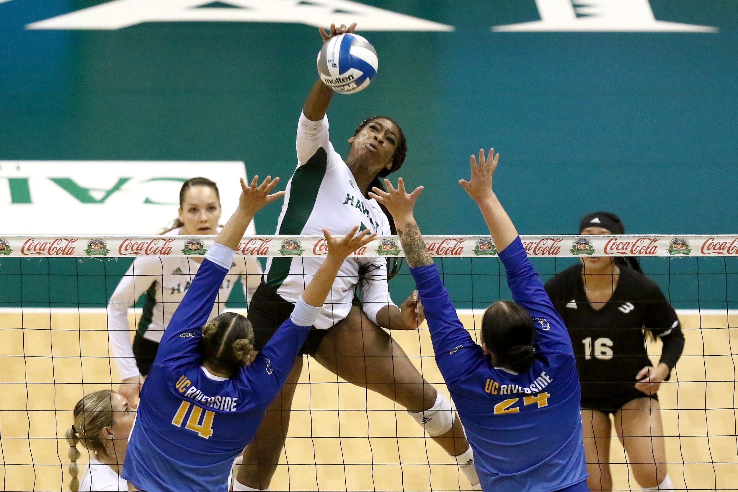 Read More - Rainbow Wahine roll into rematch with Long Beach State